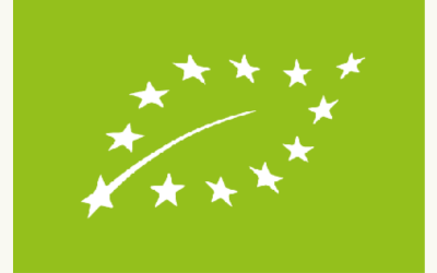 Ontwerp zonder titel (100)